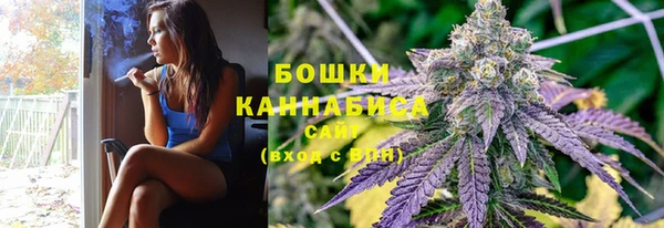 альфа пвп Медногорск