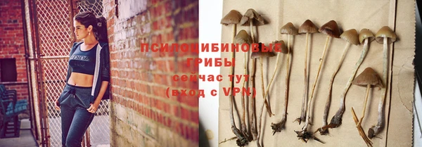 альфа пвп Медногорск
